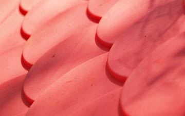 Wharfe plastic roof costs